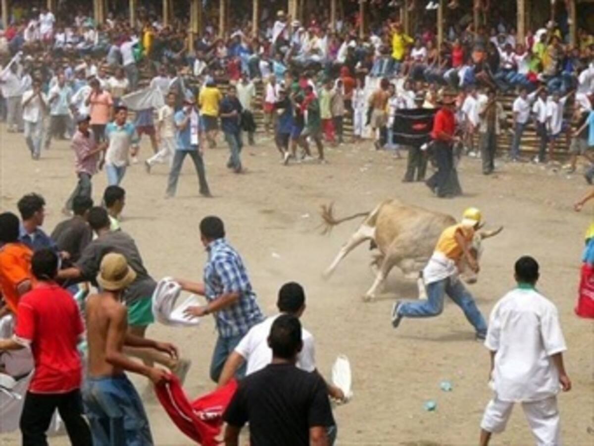 Vigilarán que no se presenten más hechos como el caballo descuartizado