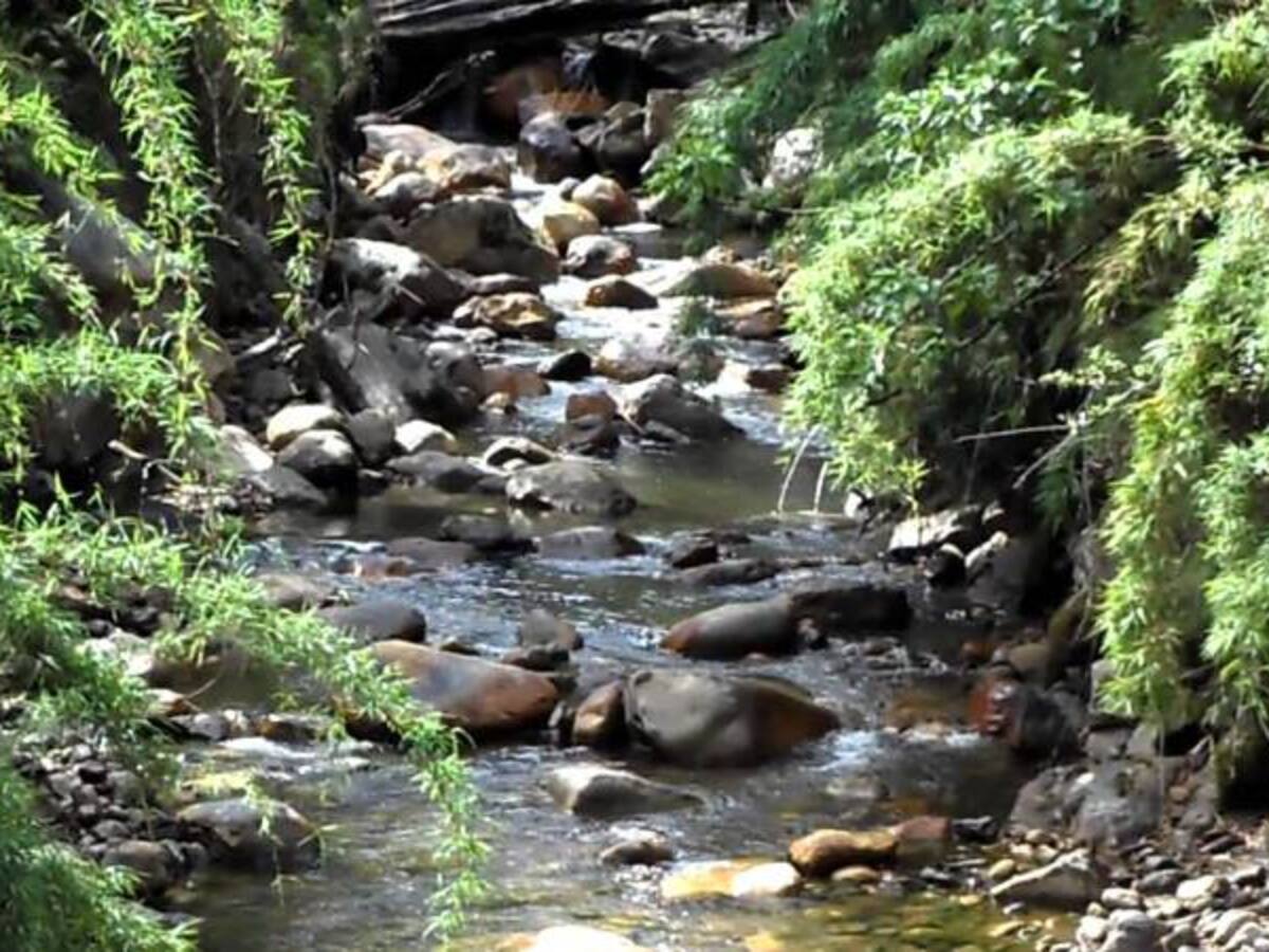 "Para urbanizar la reserva Van Der Hammen tiene que aprobarse con el nuevo POT": Urbanista