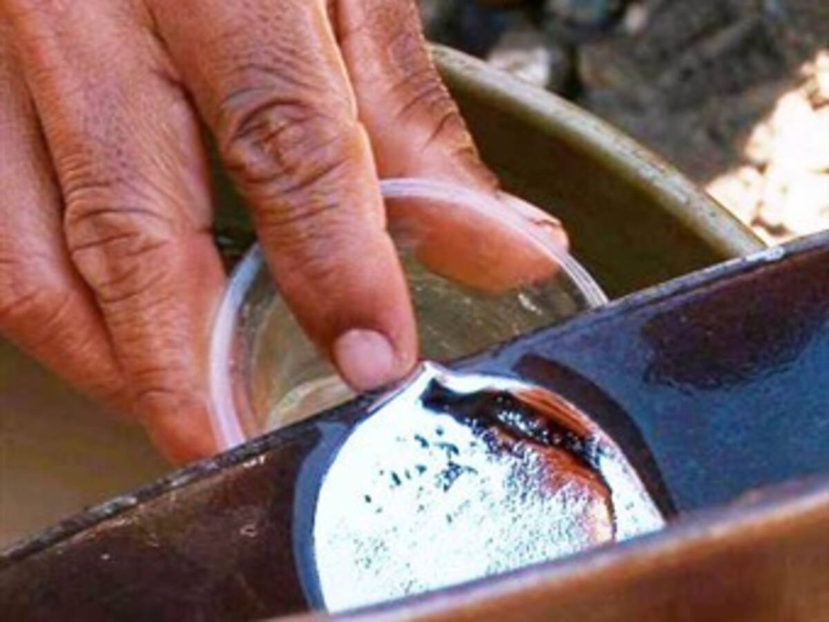 Avanza en el Congreso ley para prohibir uso de mercurio en minería