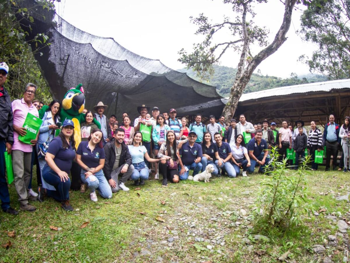 Así avanza el plan de pago por servicios ambientales en el Tolima