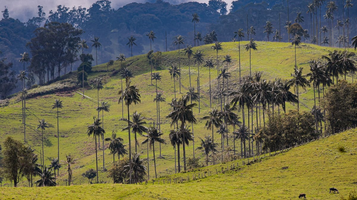 Los seis logros que hacen del Tolima el mejor destino de Colombia
