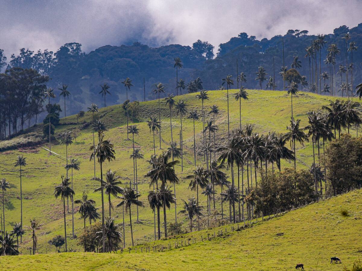 Los seis logros que hacen del Tolima el mejor destino de Colombia