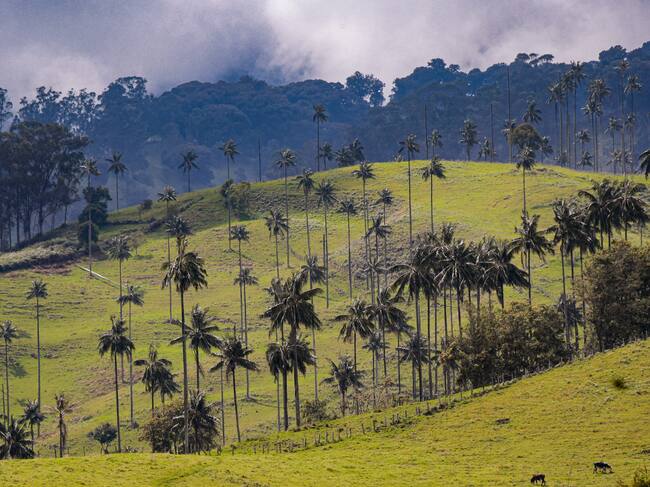 Los seis logros que hacen del Tolima el mejor destino de Colombia