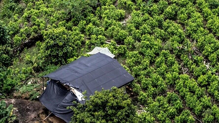 Imagen de referencia. Foto: Colprensa