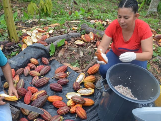 ‘Cosecha de Logros’, las historias del agro colombiano en las redes
