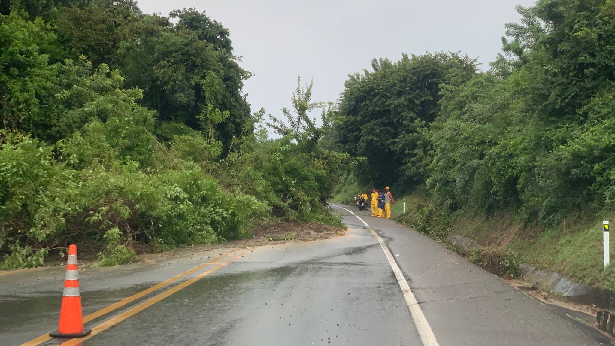 Concesión Ruta Costera