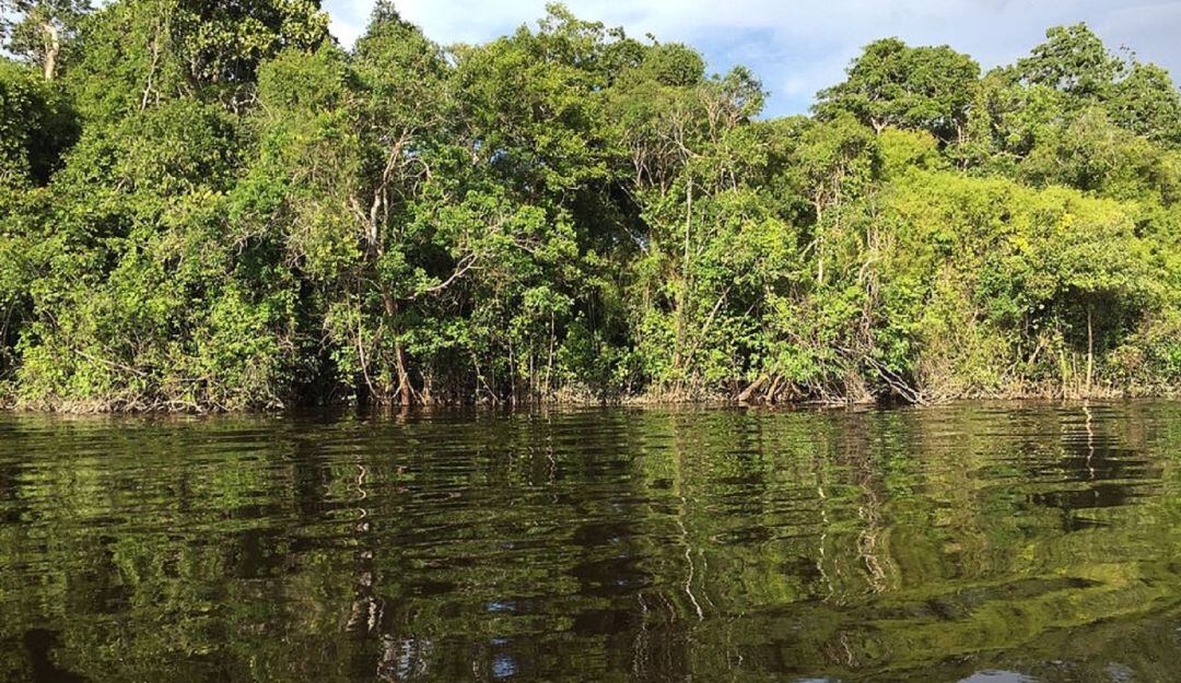 Complejo de humedales