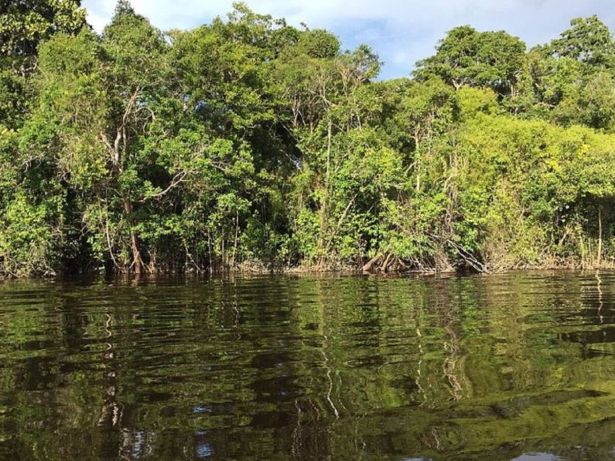 Usted puede apadrinar un humedal en Boyacá