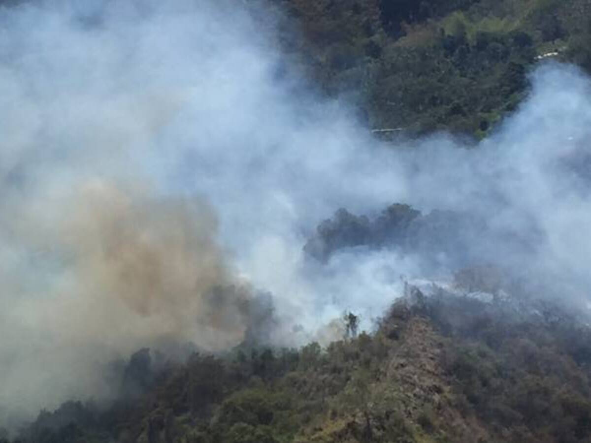 4300 incendios forestales se han registrado este año en Colombia: MinAmbiente