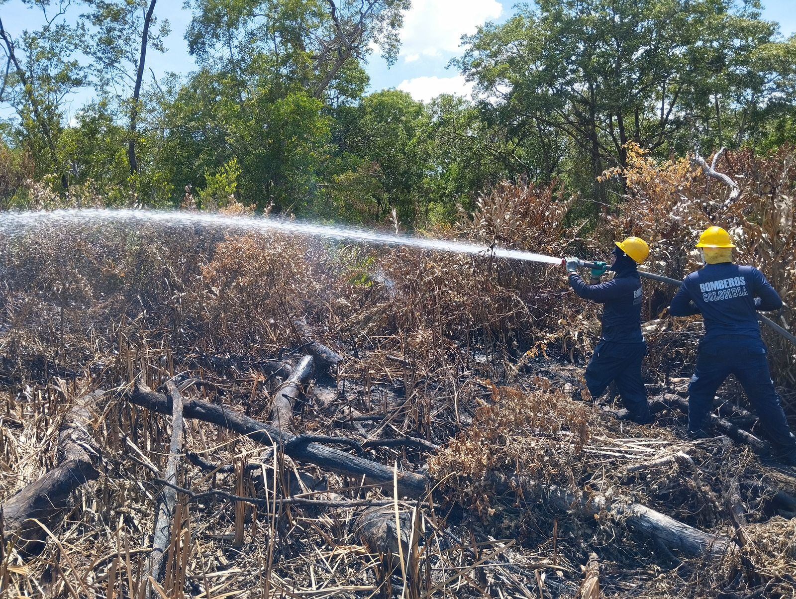 Miembros del Cuerpo de Bomberos de Sitionuevo y el equipo de Brigadista de Parque Nacional están liquidando este incendio. / Cuerpo de Bomberos de Sitionuevo.