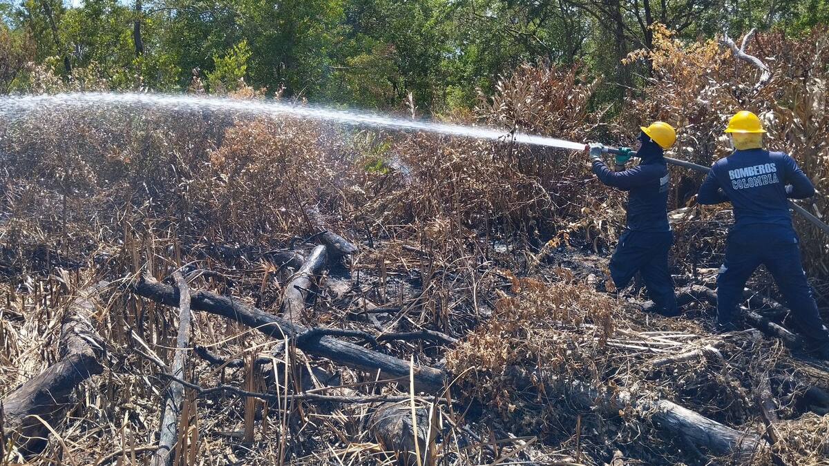 En un 90% es controlado el incendio en el Vía Parque Isla Salamanca: Bomberos Sitionuevo