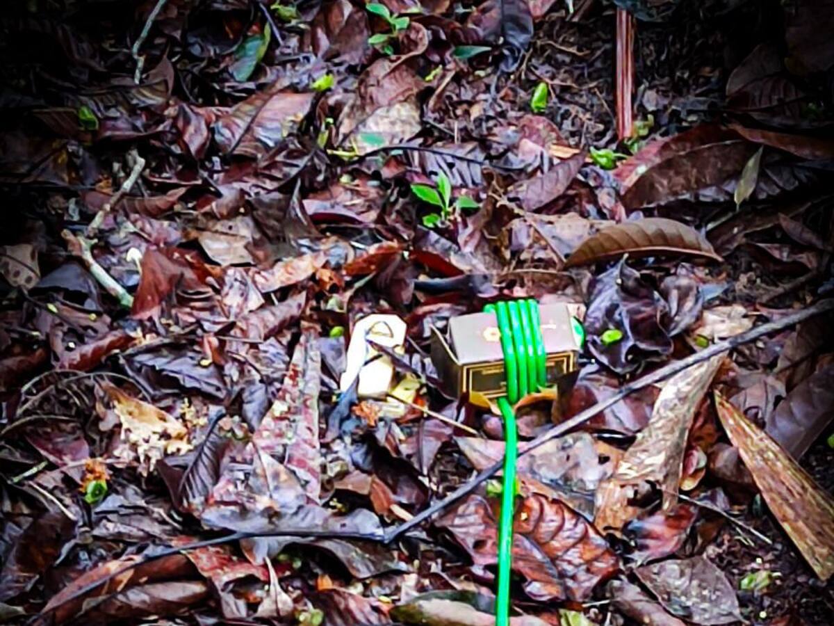 Ejército destruyó dos minas ubicadas en la vía a vereda Cancha Manila de Segovia