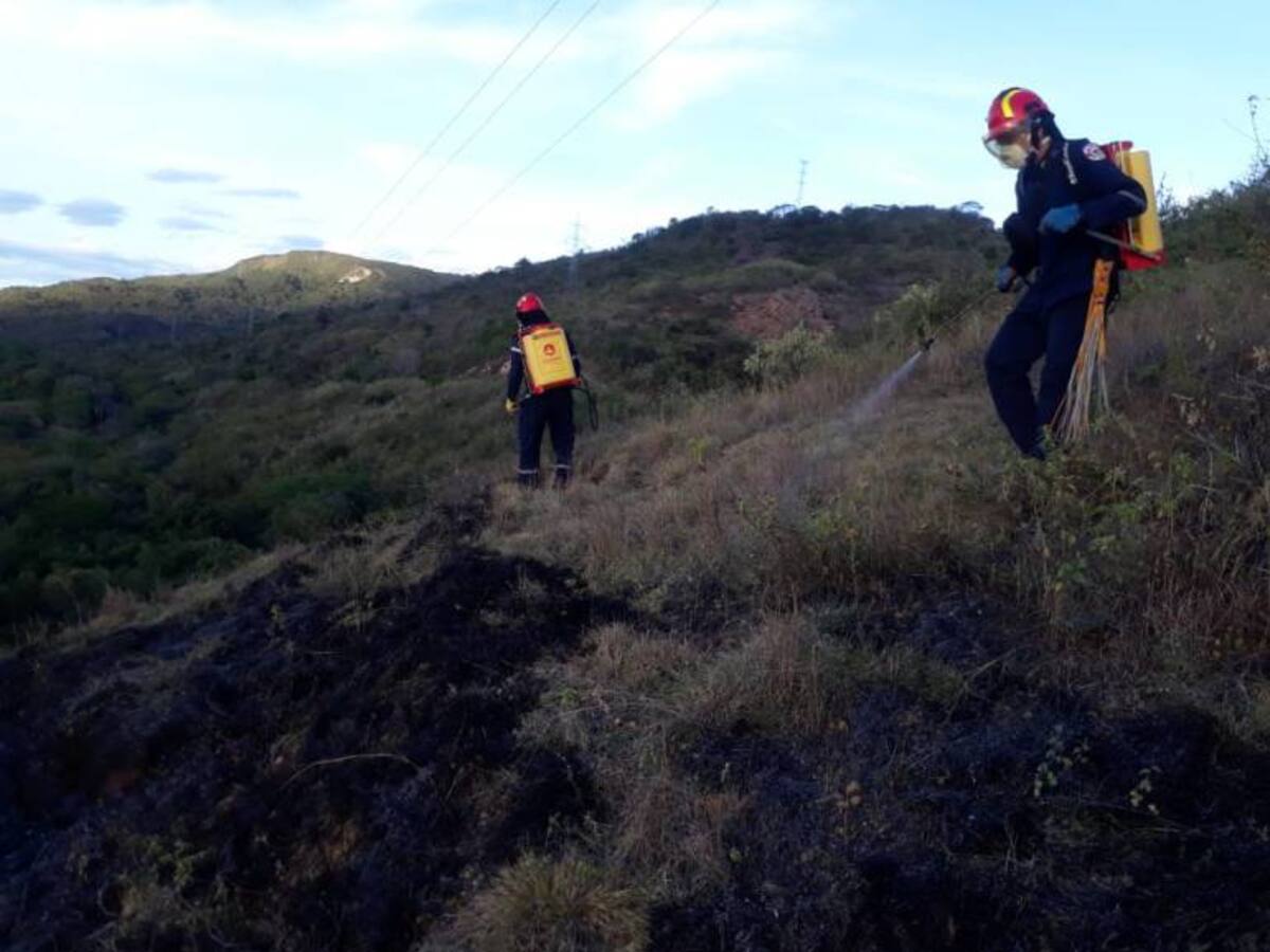 Con el programa “Vigias Forestales”, Aipe lucha contra los incendios