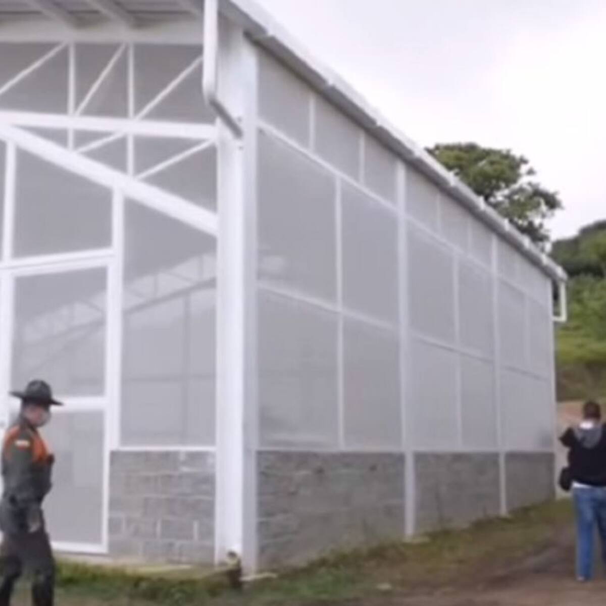 Suspenden actividad de multinacional aguacatera en Pijao, Quindío
