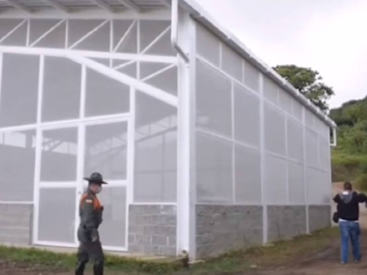 Suspenden actividad de multinacional aguacatera en Pijao, Quindío