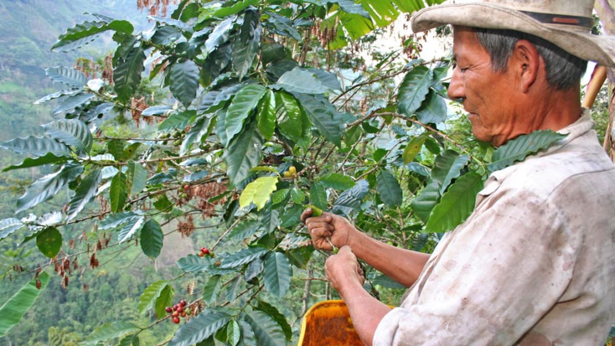 En su finca, ¡ciérrele el paso al coronavirus!
