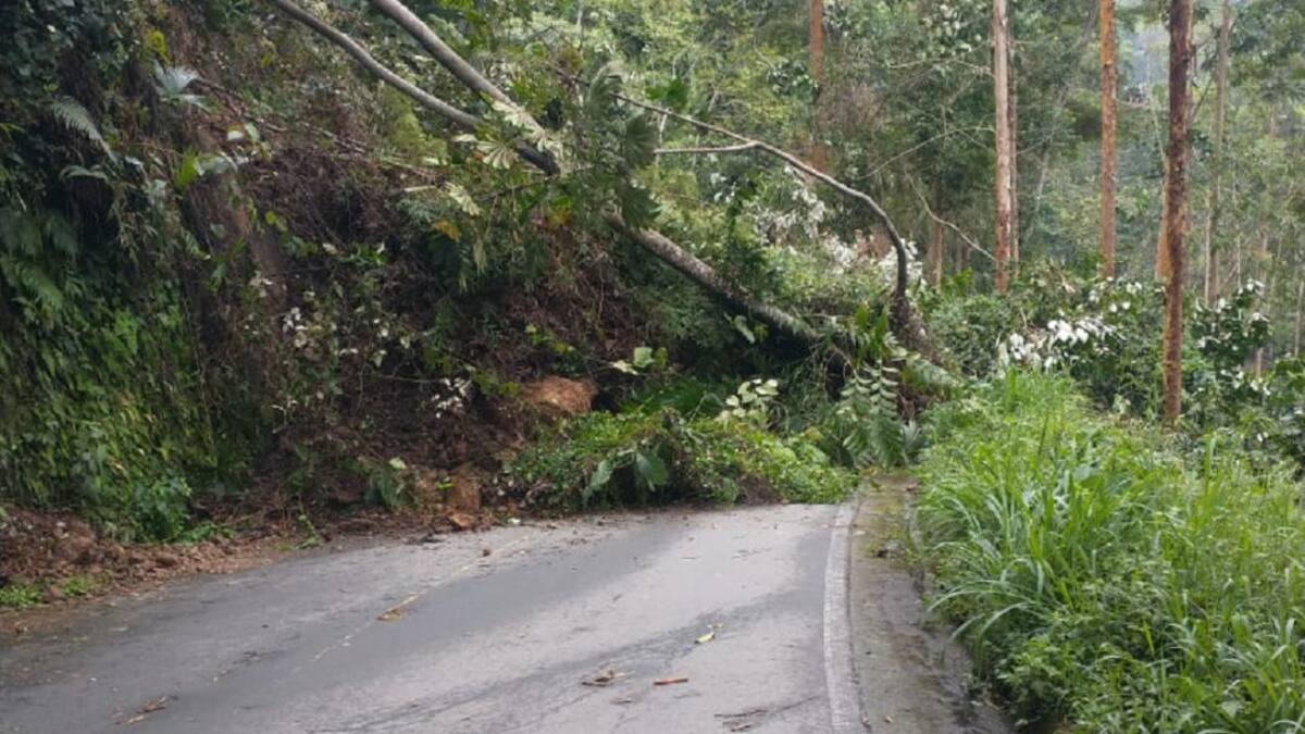 Anserma, Caldas, también afectado por las lluvias en varios sectores