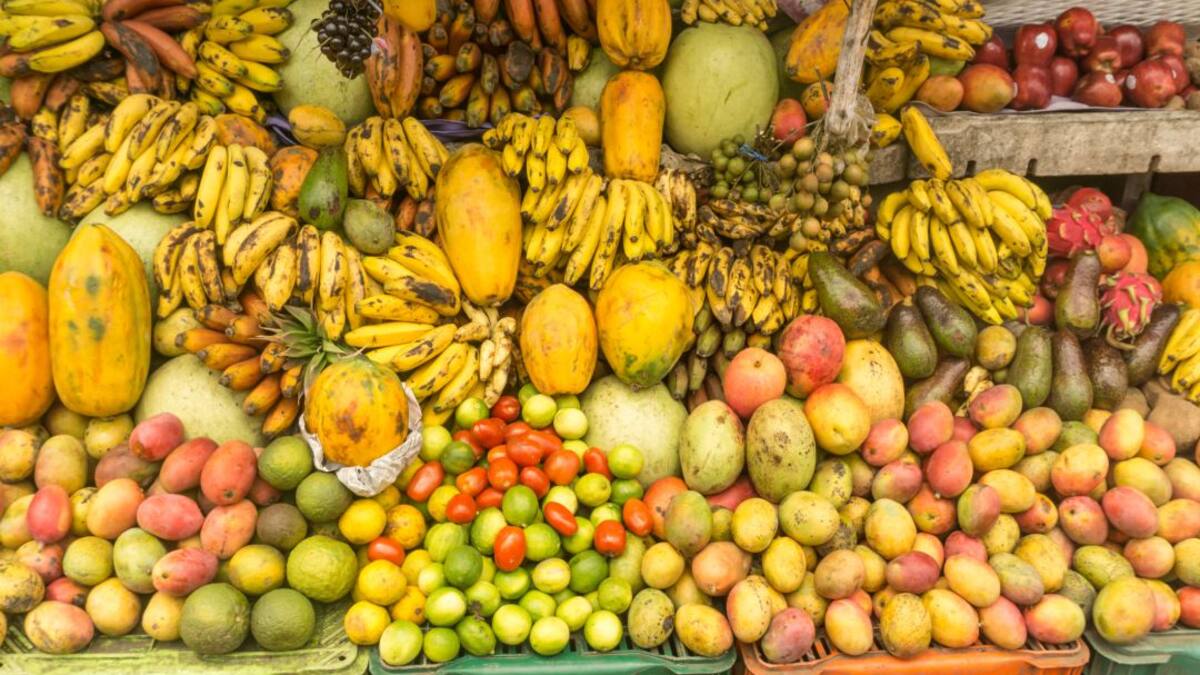 Los retos de Corabastos y otras centrales frente a la seguridad alimentaria