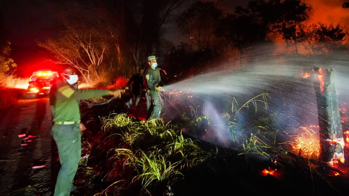 Gobernadora del Tolima denuncia ante la Fiscalía aparentes manos criminales detrás de los forestales