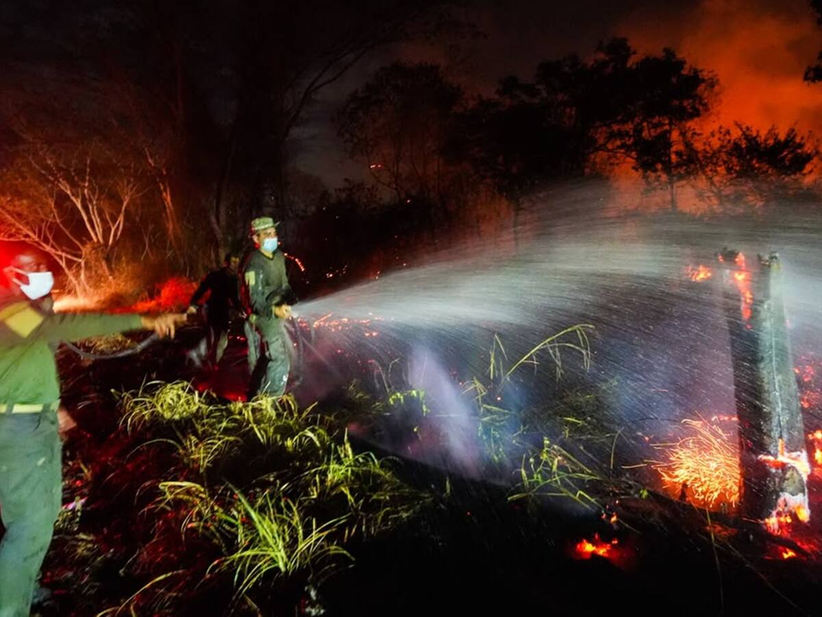 Gobernadora del Tolima denuncia ante la Fiscalía aparentes manos criminales detrás de los forestales