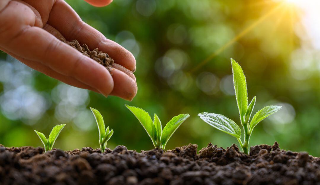 Cultivos amigables con el medio ambiente