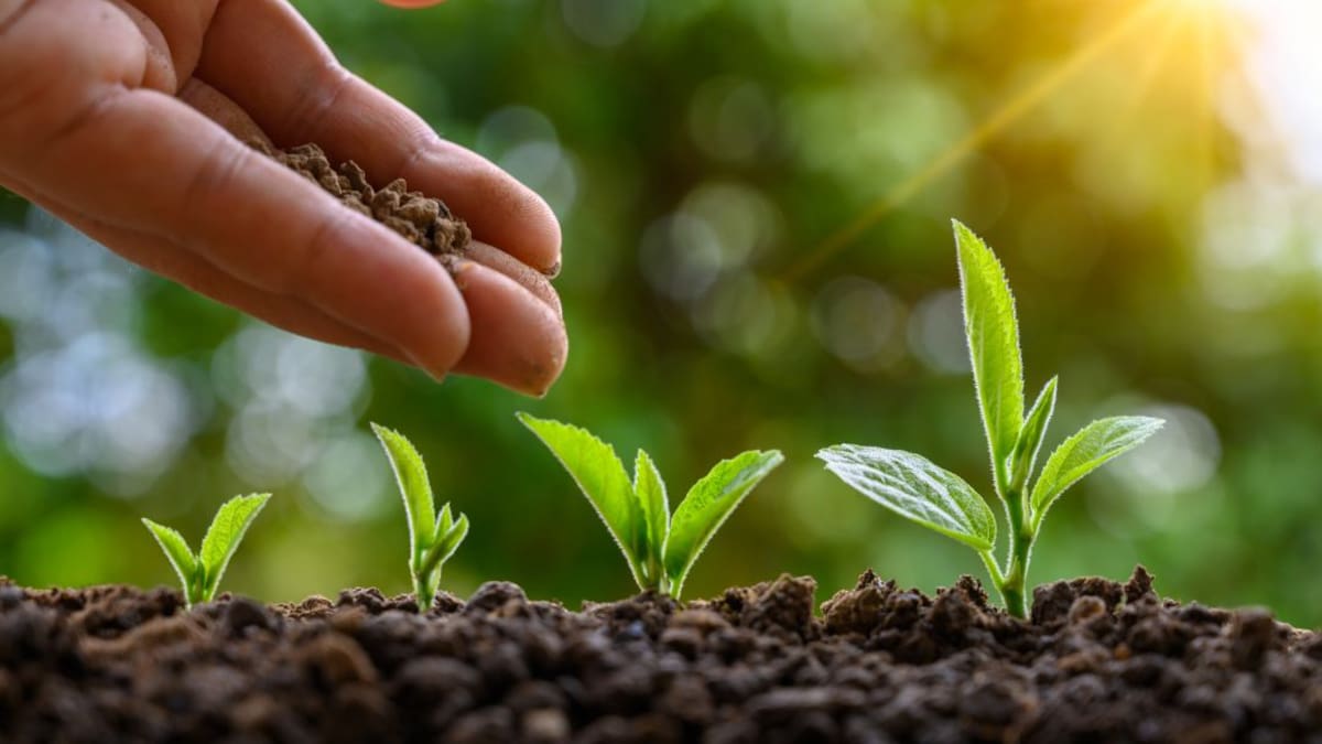 Los biofertilizantes, ¿una gran opción para reducir costos agropecuarios?
