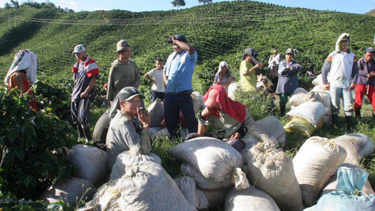 Alirio García, presidente de la Anuc en Risaralda explica los apoyos que llegarán este año para los campesinos