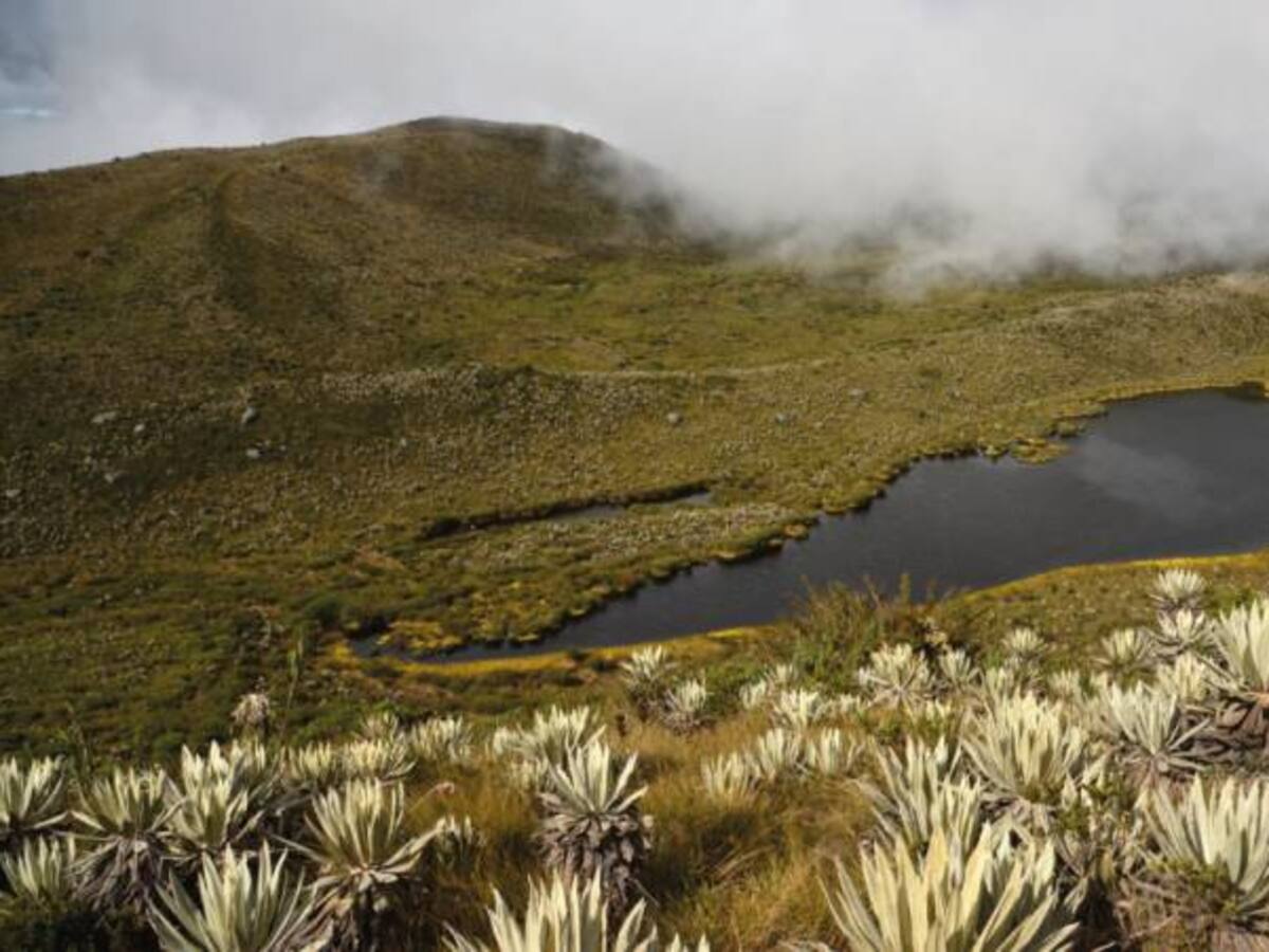 Parques ecoturísticos, otra opción de Semana Santa