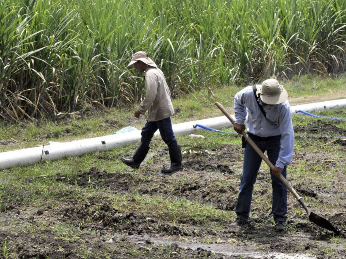 La Fiscalía identificó el cuerpo de una mujer en la vía a Jamundí