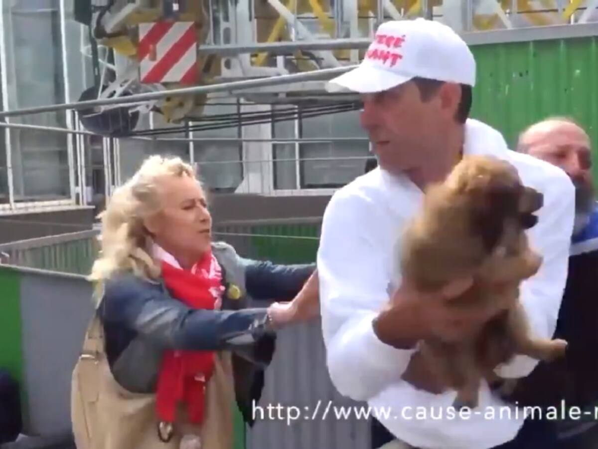 ¡Vuelve a ser viral! Activista raptó perrito de habitante de calle