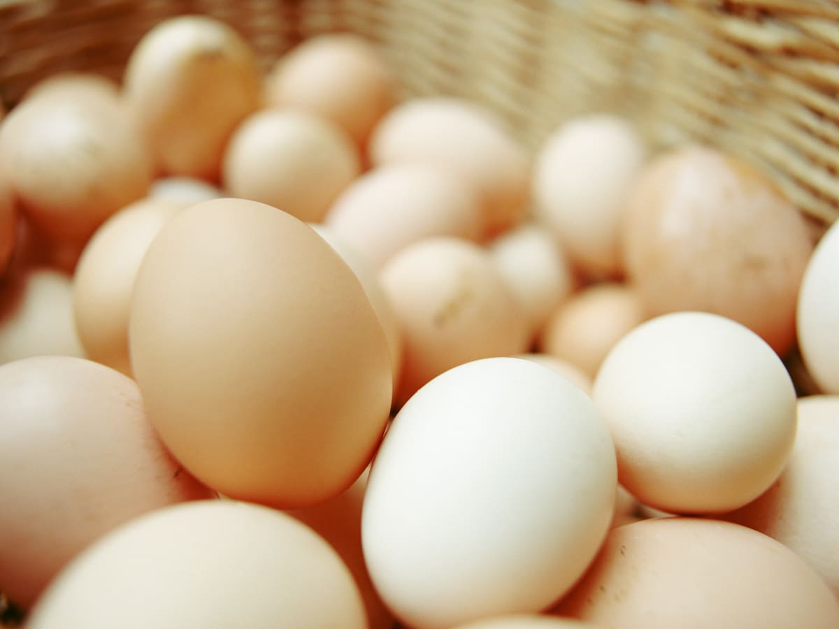 ¿Es malo comer huevo todos los días? Esto dice la OMS: consideraciones y precauciones
