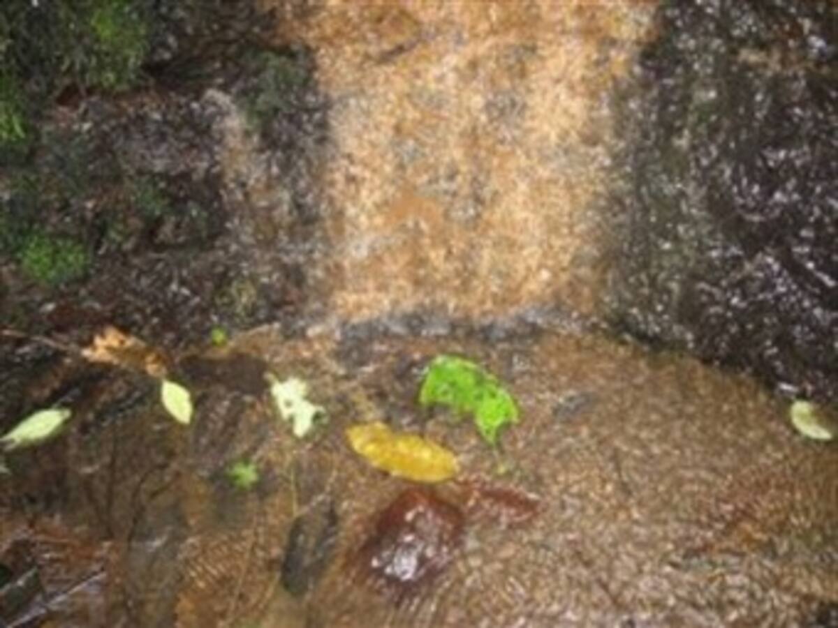 Ministro de Agricultura afirma que se avecina sequía en Colombia