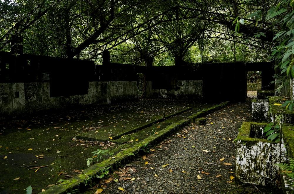 La naturaleza reclama su territorio y se instala en las ruinas de lo que alguna vez fue un temido lugar de reclusión en el Pacífico colombiano.