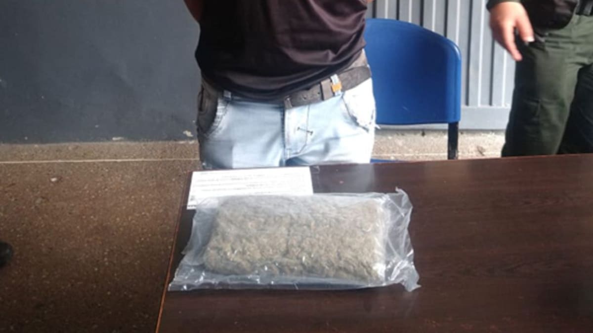 Casi una tonelada de estupefacientes ha incautado la Policía Metropolitana