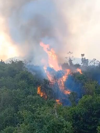 Incendio forestal en zona rural de El Zulia