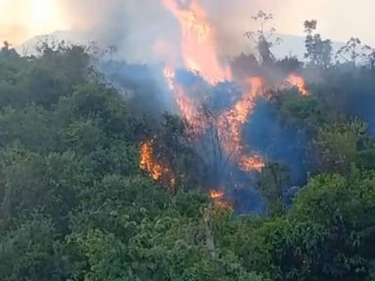 Grave incendio forestal afecta la zona rural de El Zulia