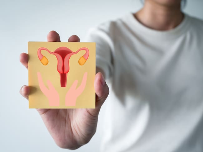 Psicoterapeuta lanzó curso de salud sexual femenina: estos son los detalles