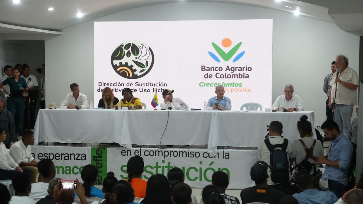 Reaparecen cultivos de coca y amapola, informe de Claudia Ortega