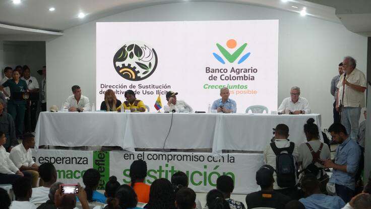 Reaparecen cultivos de coca y amapola, informe de Claudia Ortega