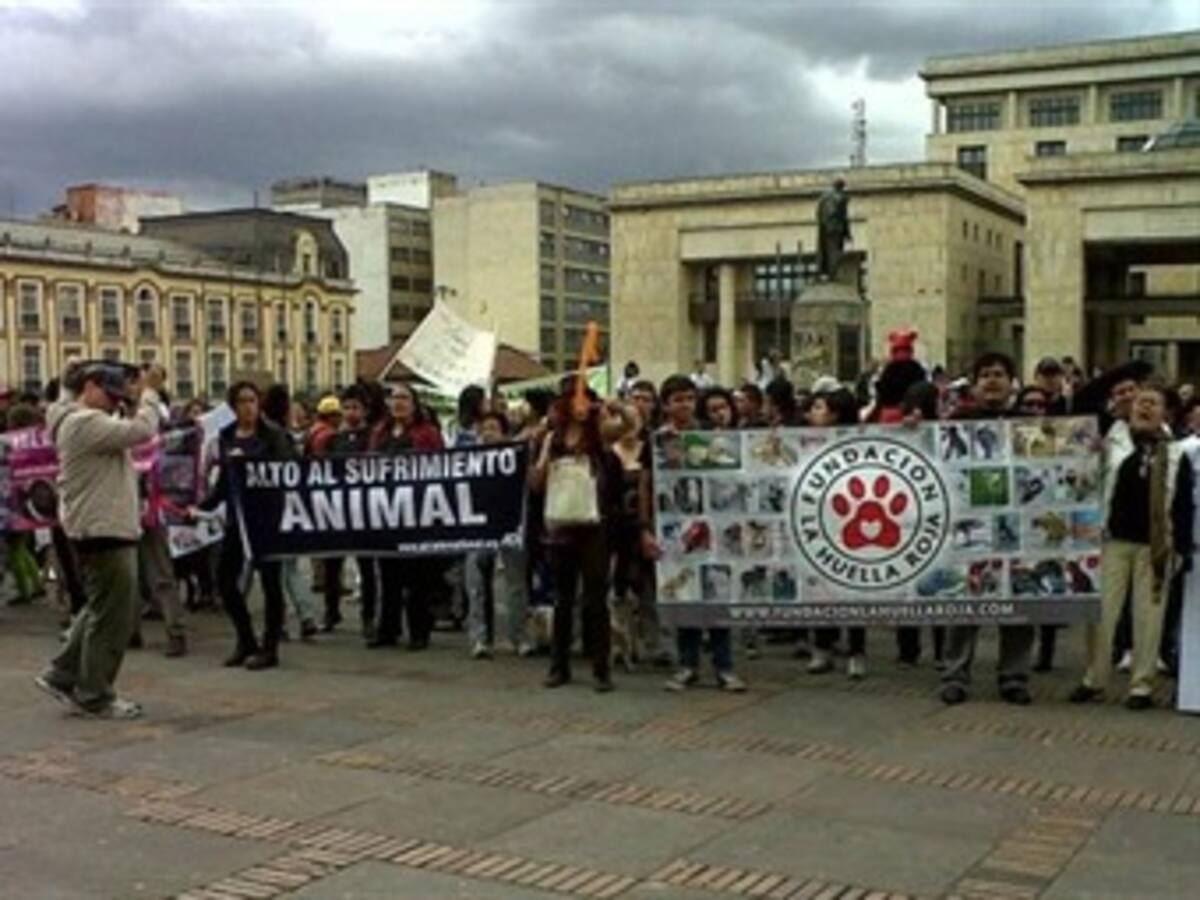 "Más de 4.000 personas marcharon en pro de los animales": La Huella Roja