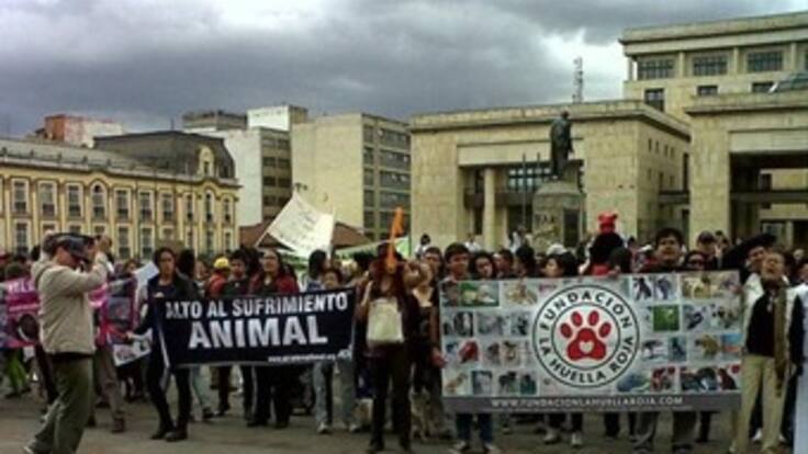 "Más de 4.000 personas marcharon en pro de los animales": La Huella Roja