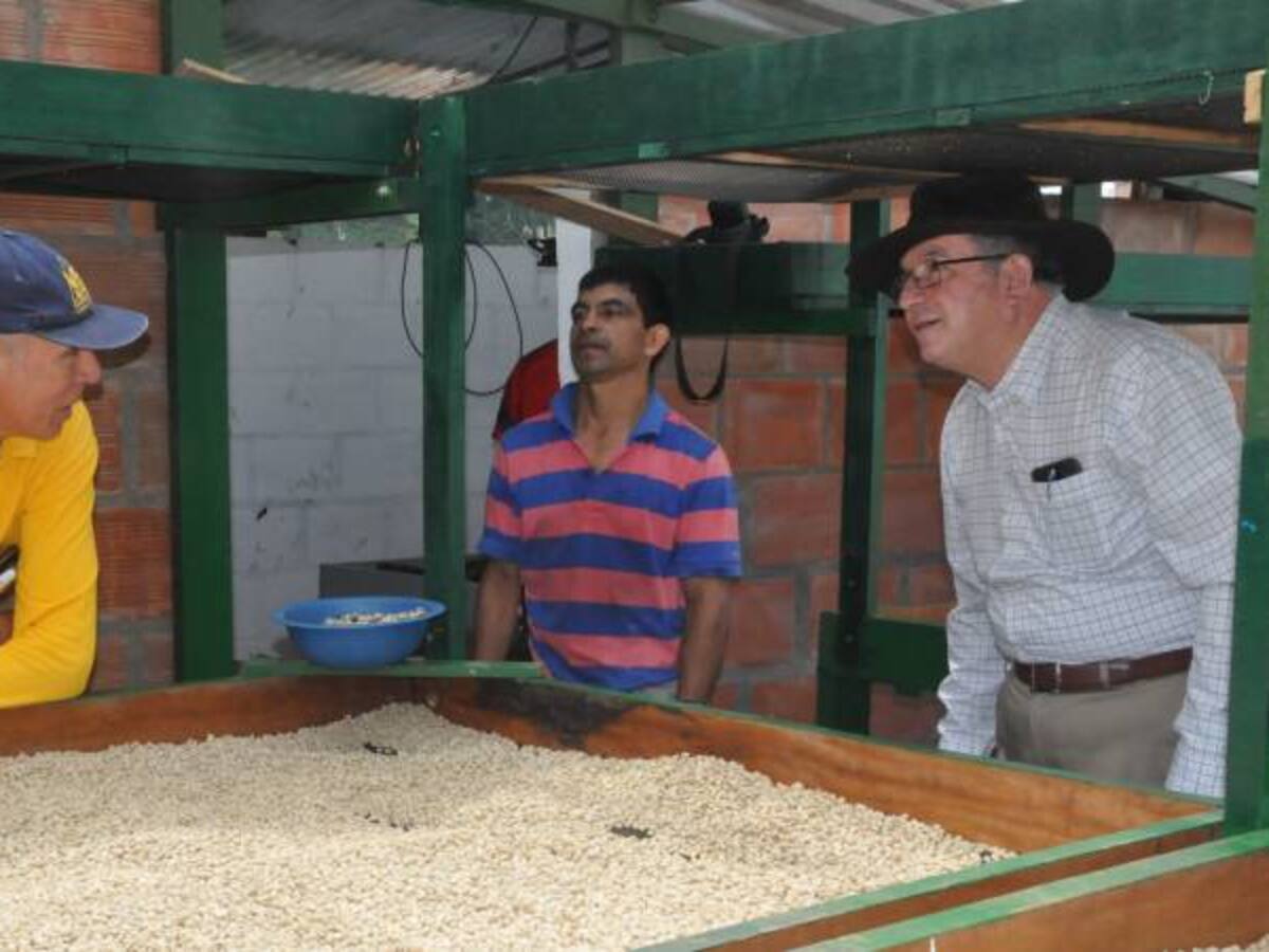 Lomitas Coffee, café caleño para los ingleses