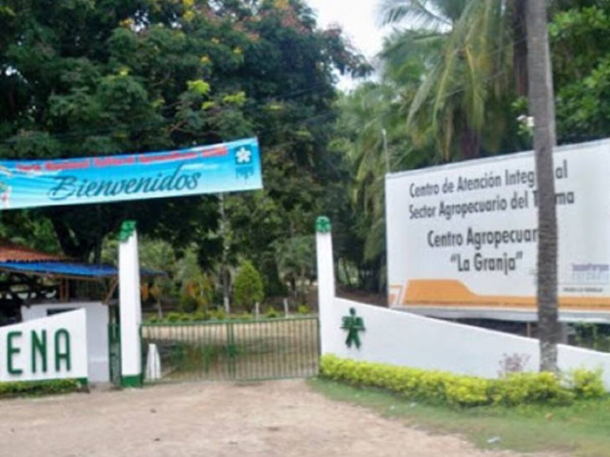 Estudiantes del Sena cuidan a los animales de la sede de El Espinal