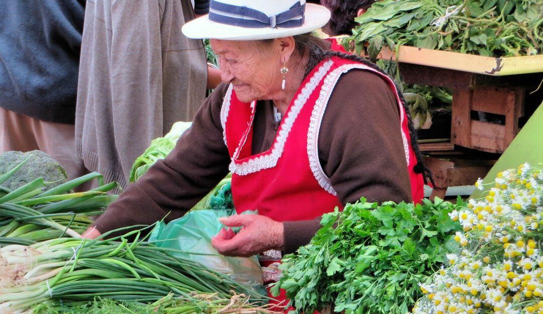 La UNAD puso en marcha #AgroJusto para beneficio de los campesinos