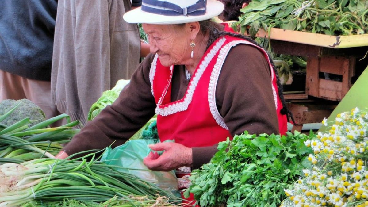 #AgroJusto, para que los intermediarios no abusen de los campesinos