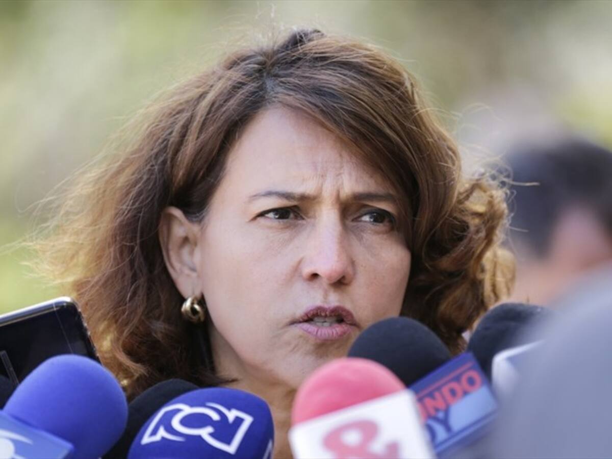 No me corresponde decir quién fue el responsable del hundimiento del proyecto: Mininterior