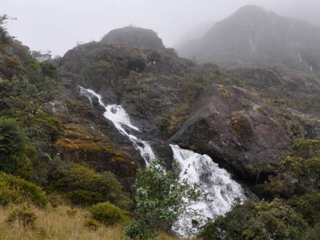 Páramo de Santurbán