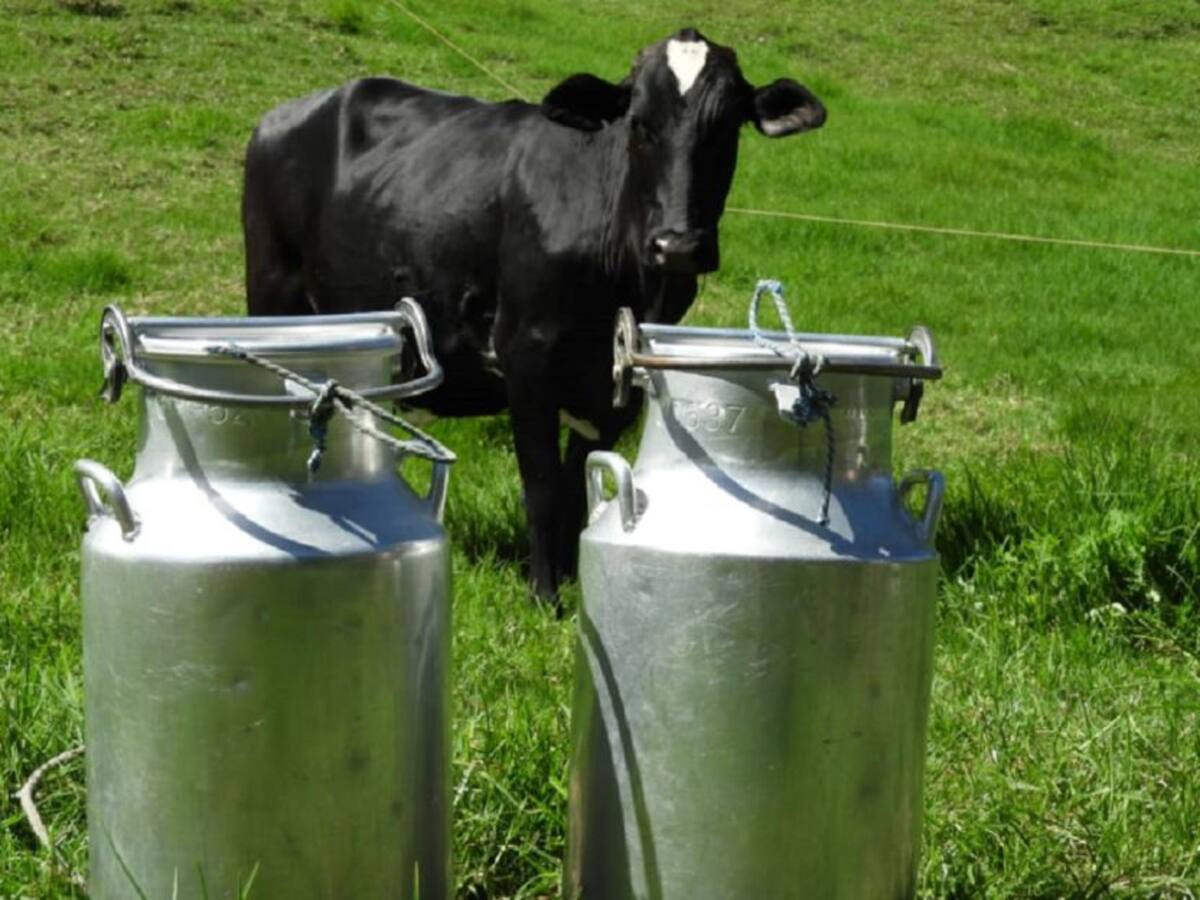 En Antioquia hay dos millones de litros de leche en riesgo de perderse