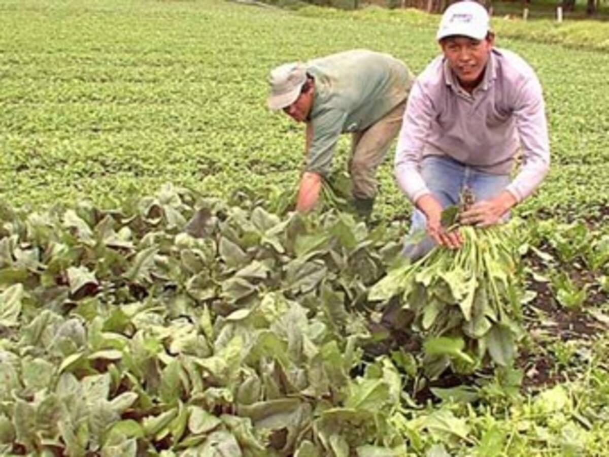DANE presentó en Valledupar avances del Tercer Censo Nacional Agropecuario