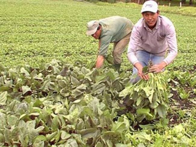 DANE presentó en Valledupar avances del Tercer Censo Nacional Agropecuario